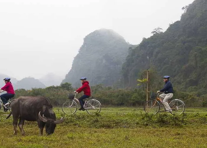 Heritage Line Violet Cruise - Bay & Lan Ha Bay Ha Long